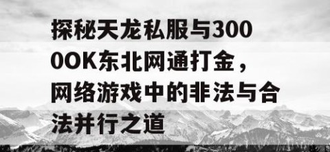 探秘天龙私服与3000OK东北网通打金，网络游戏中的非法与合法并行之道