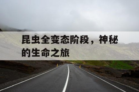 昆虫全变态阶段，神秘的生命之旅