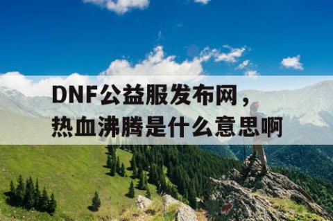 DNF公益服发布网，热血沸腾是什么意思啊