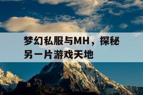 梦幻私服与MH，探秘另一片游戏天地