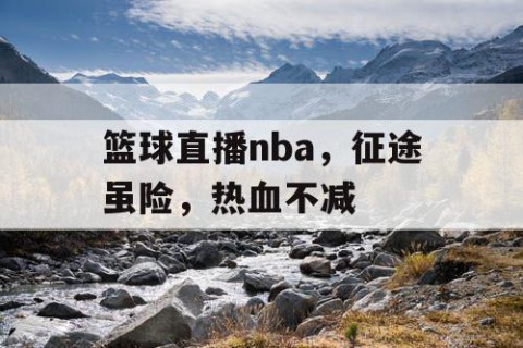 篮球直播nba，征途虽险，热血不减