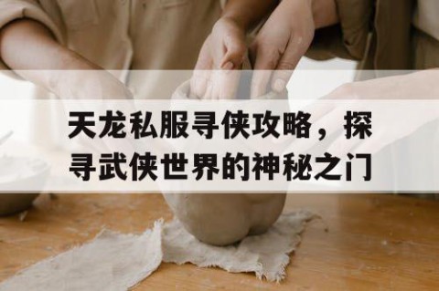 天龙私服寻侠攻略，探寻武侠世界的神秘之门