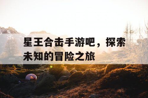 星王合击手游吧，探索未知的冒险之旅