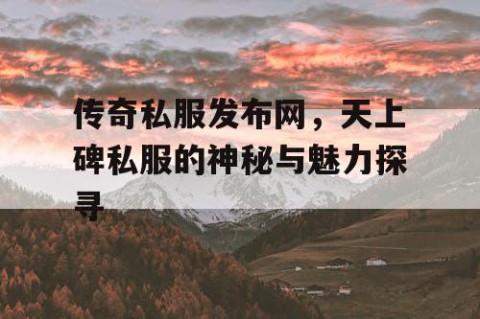 传奇私服发布网，天上碑私服的神秘与魅力探寻