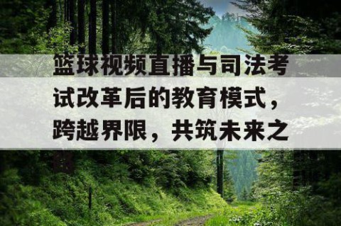 篮球视频直播与司法考试改革后的教育模式，跨越界限，共筑未来之路