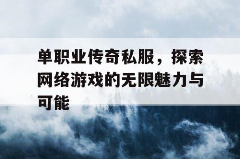 单职业传奇私服，探索网络游戏的无限魅力与可能