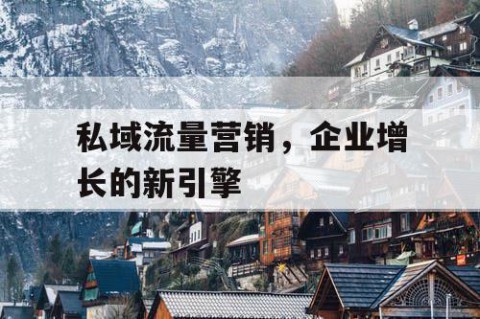 私域流量营销，企业增长的新引擎