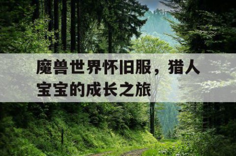 魔兽世界怀旧服，猎人宝宝的成长之旅