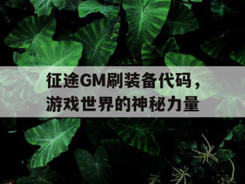 征途GM刷装备代码，游戏世界的神秘力量
