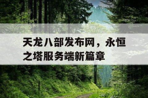 天龙八部发布网，永恒之塔服务端新篇章