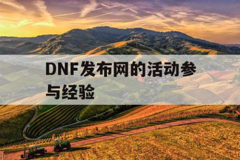 DNF发布网的活动参与经验