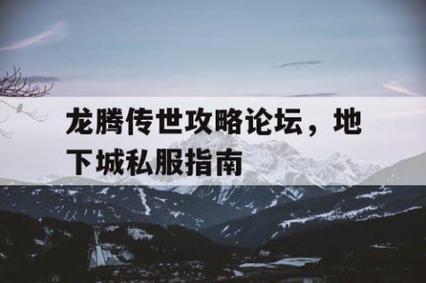 龙腾传世攻略论坛，地下城私服指南