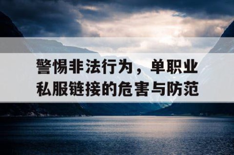 警惕非法行为，单职业私服链接的危害与防范
