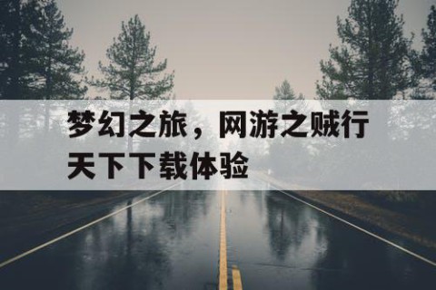梦幻之旅，网游之贼行天下下载体验