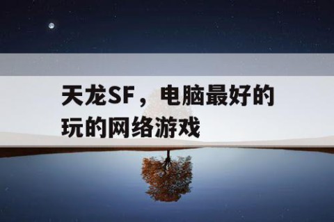 天龙SF，电脑最好的玩的网络游戏
