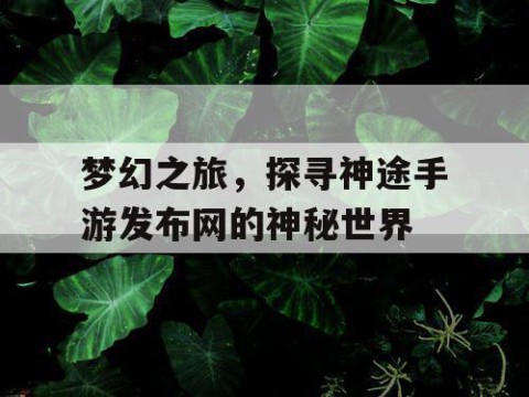梦幻之旅，探寻神途手游发布网的神秘世界