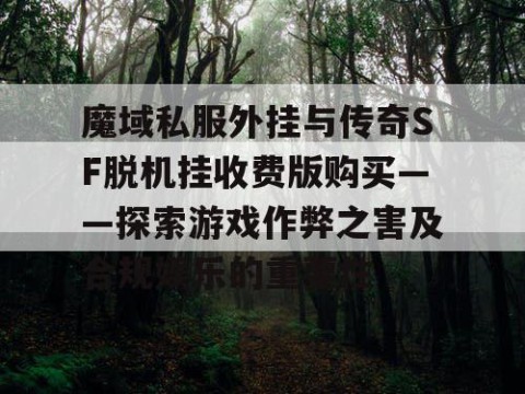 魔域私服外挂与传奇SF脱机挂收费版购买——探索游戏作弊之害及合规娱乐的重要性