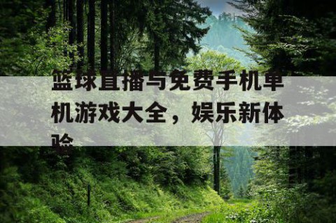 篮球直播与免费手机单机游戏大全，娱乐新体验