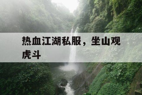 热血江湖私服，坐山观虎斗