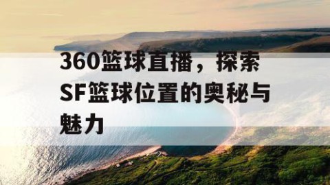 360篮球直播,探索SF篮球位置的奥秘与魅力
