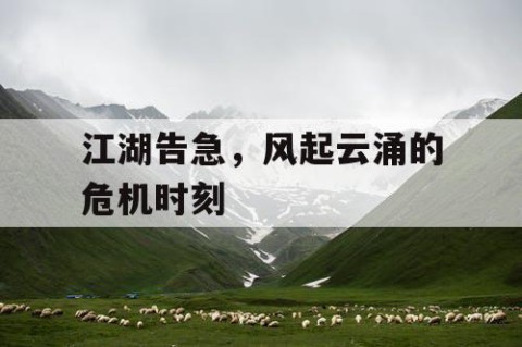 江湖告急，风起云涌的危机时刻