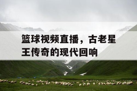 篮球视频直播,古老星王传奇的现代回响