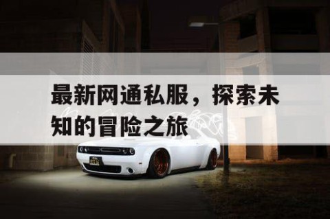 最新网通私服，探索未知的冒险之旅