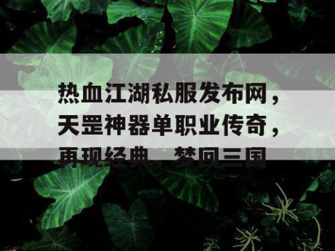 热血江湖私服发布网，天罡神器单职业传奇，再现经典，梦回三国