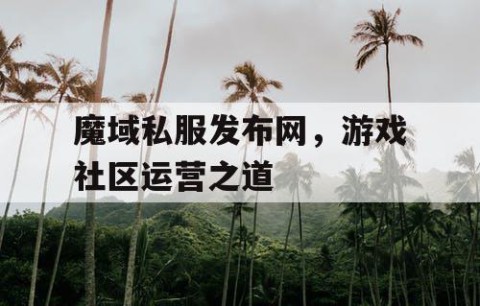 魔域私服发布网，游戏社区运营之道
