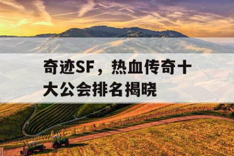 奇迹SF,热血传奇十大公会排名揭晓