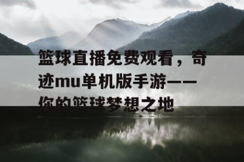 篮球直播免费观看，奇迹mu单机版手游——你的篮球梦想之地