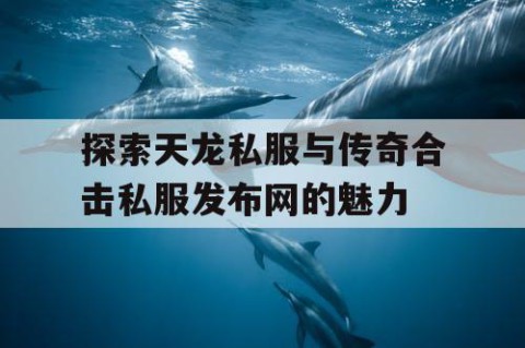 探索天龙私服与传奇合击私服发布网的魅力