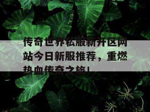 传奇世界私服新开区网站今日新服推荐，重燃热血传奇之旅！