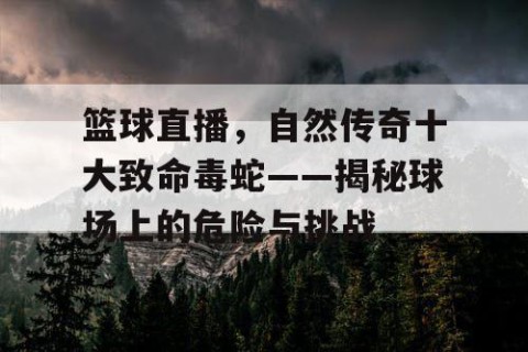 篮球直播,自然传奇十大致命毒蛇——揭秘球场上的危险与挑战