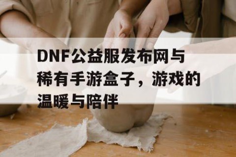DNF公益服发布网与稀有手游盒子，游戏的温暖与陪伴