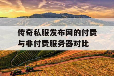 传奇私服发布网的付费与非付费服务器对比
