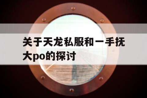 关于天龙私服和一手抚大po的探讨