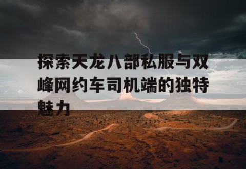 探索天龙八部私服与双峰网约车司机端的独特魅力
