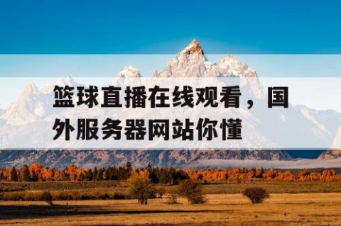 篮球直播在线观看,国外服务器网站你懂