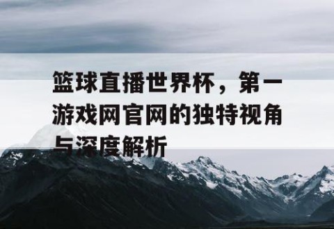 篮球直播世界杯，第一游戏网官网的独特视角与深度解析