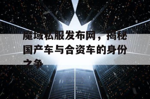 魔域私服发布网，揭秘国产车与合资车的身份之争