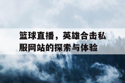 篮球直播,英雄合击私服网站的探索与体验