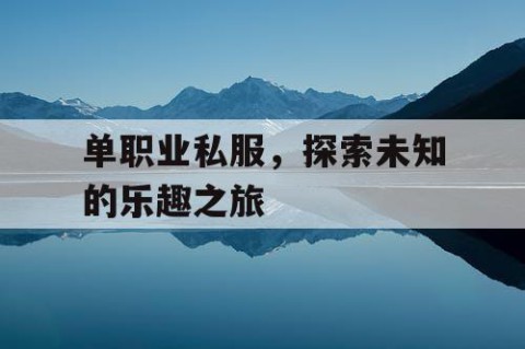 单职业私服，探索未知的乐趣之旅