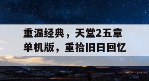 重温经典，天堂2五章单机版，重拾旧日回忆