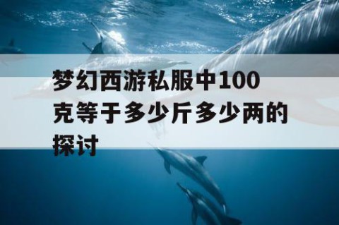 梦幻西游私服中100克等于多少斤多少两的探讨