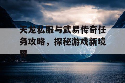 天龙私服与武易传奇任务攻略，探秘游戏新境界