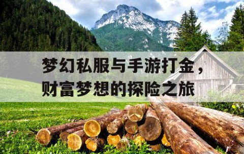 梦幻私服与手游打金，财富梦想的探险之旅
