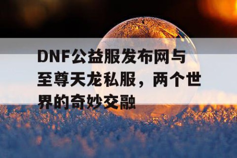 DNF公益服发布网与至尊天龙私服，两个世界的奇妙交融