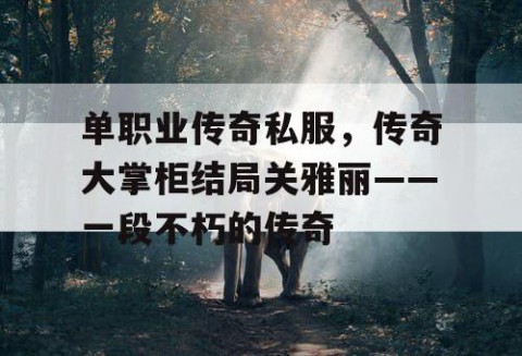 单职业传奇私服，传奇大掌柜结局关雅丽——一段不朽的传奇