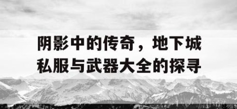 阴影中的传奇，地下城私服与武器大全的探寻